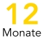 12 Monate